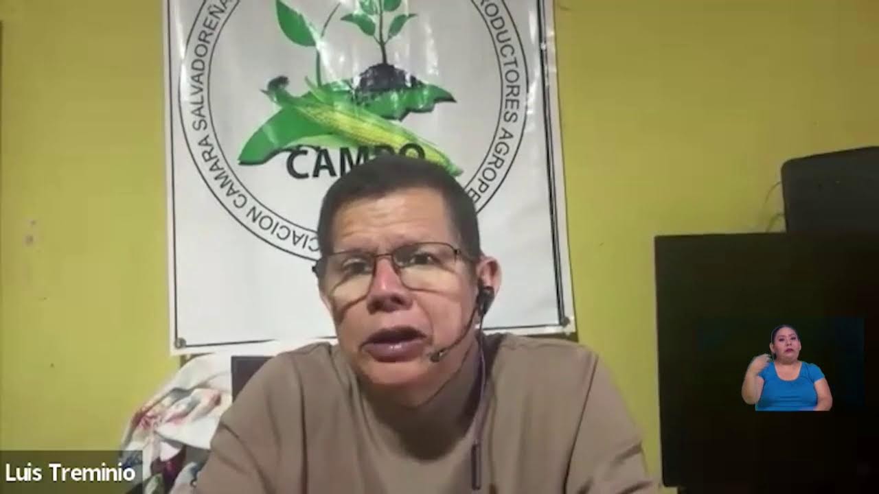 Noticiero Hechos en Vivo