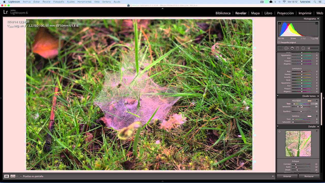 Revelado Lightroom  proceso cruzado para tonos verdes