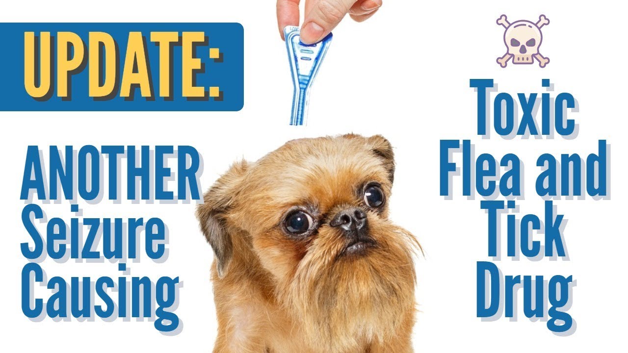 Another Toxic Flea and Tick Medicine Causing Seizures