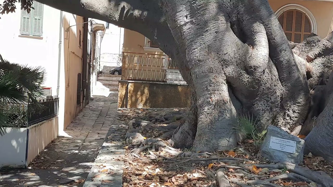 Dolceacqua et Bordighera