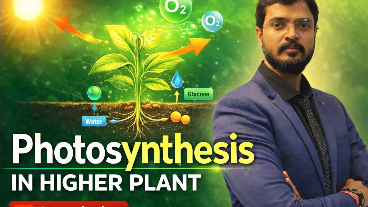 Photosynthesis in higher plants part 3 #neet ##school 