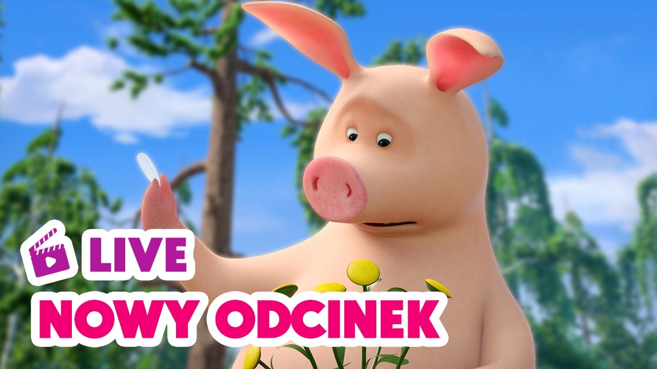 🔴 LIVE✨ Nowy odcinek ✨ Kocha mnie czy nie? 🌸❓ Masza i Niedźwiedź ⚡ NA ŻYWO
