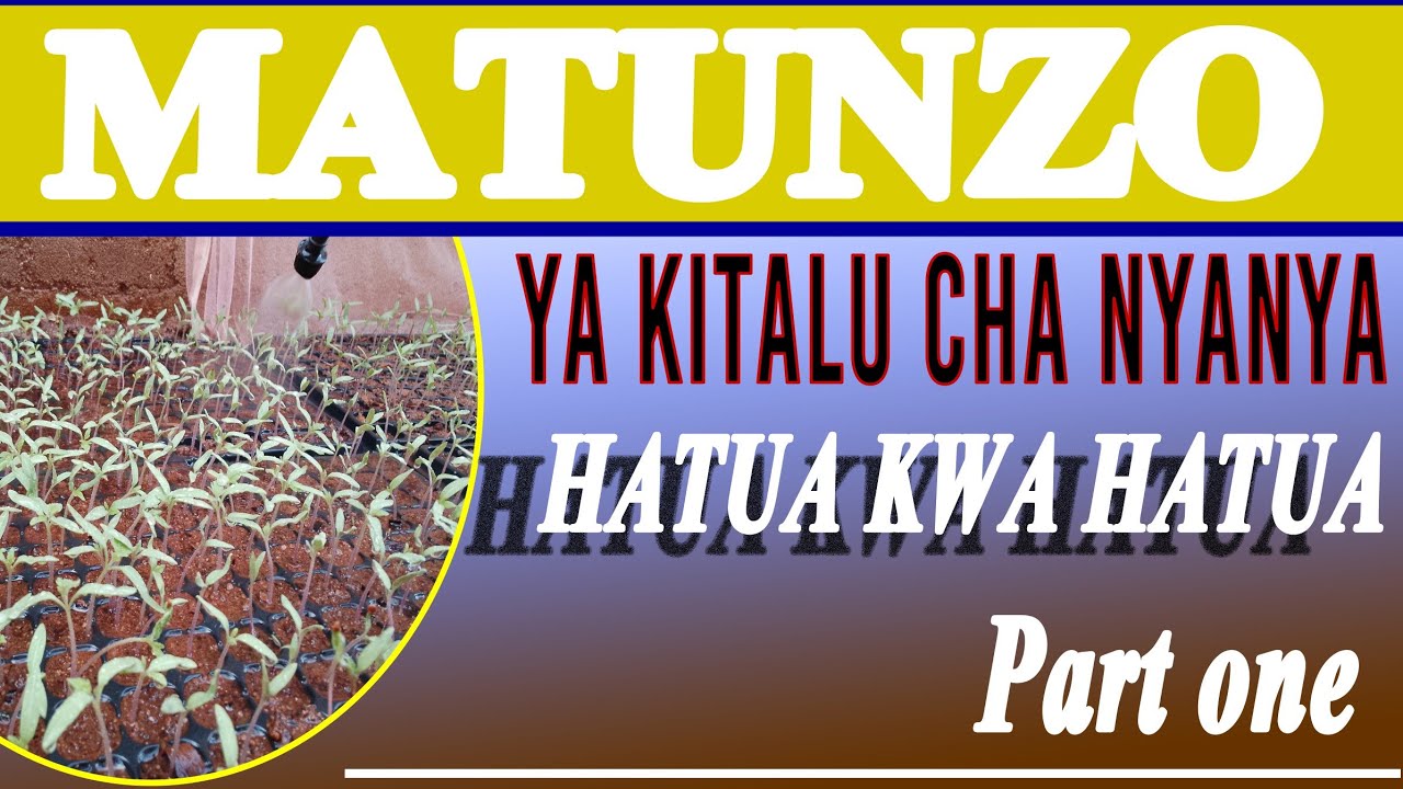 PART ONE: MATUNZO YA KITALU CHA NYANYA MWANZO MWISHO