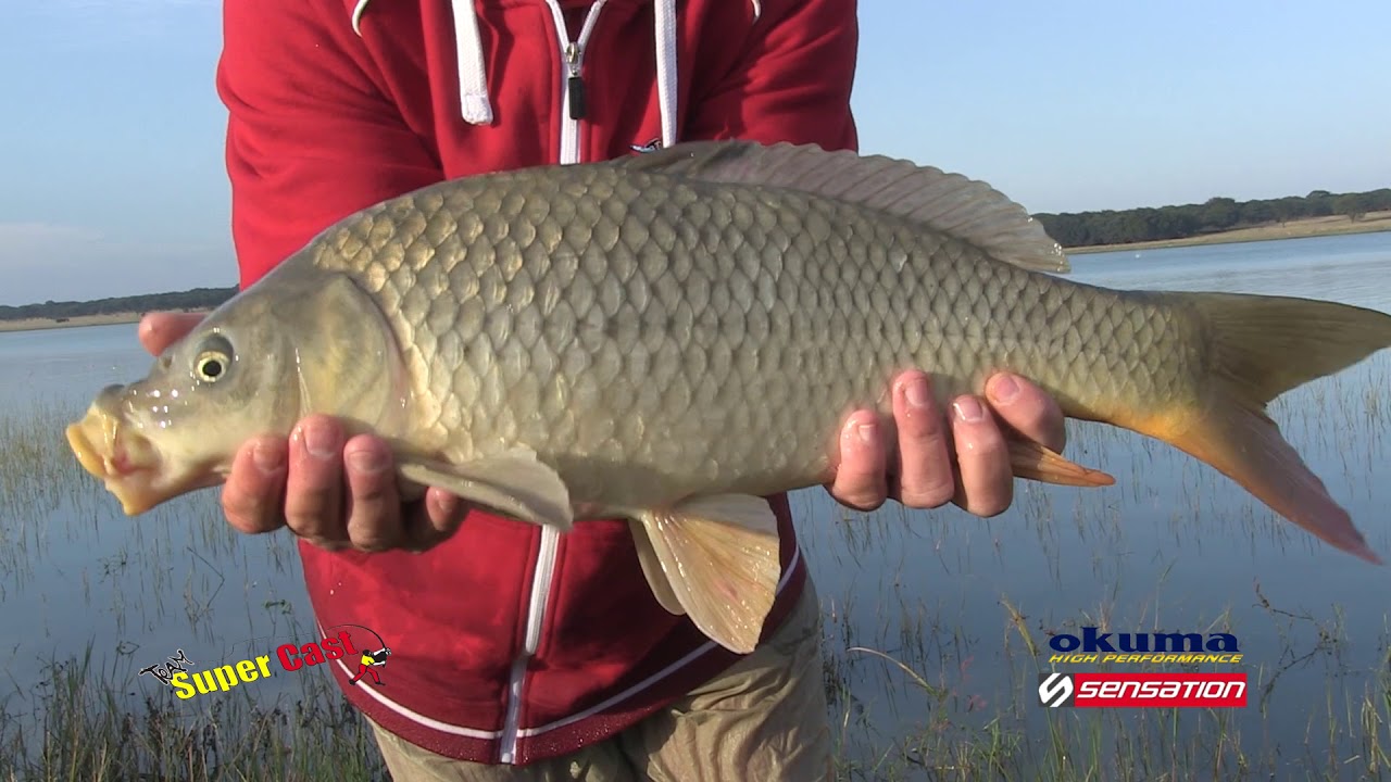 SUPERCAST DVD vol 44 (Bloemhof Dam)