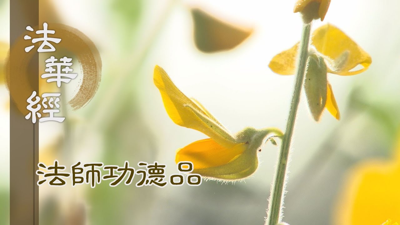 【靜思妙蓮華】法華經 法師功德品 - 修心利群 持行有成 - 第1656集 20240417
