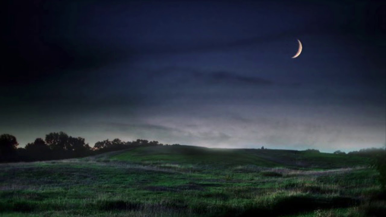 I suoni della campagna di notte/ The sounds of the countryside at night