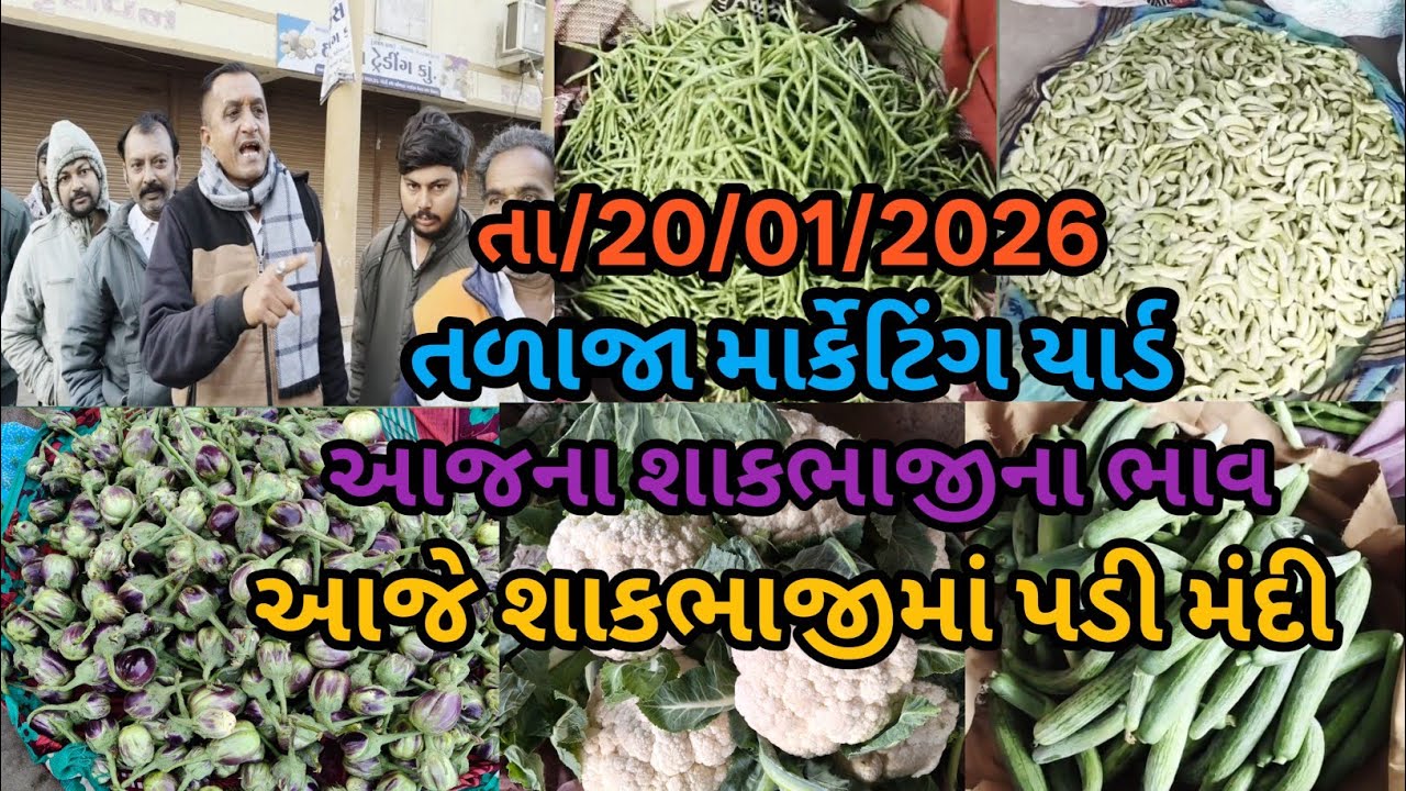 આજે શાકભાજીમાં મંદી તળાજા માર્કેટિંગ યાર્ડ આજના શાકભાજી ના ભાવ