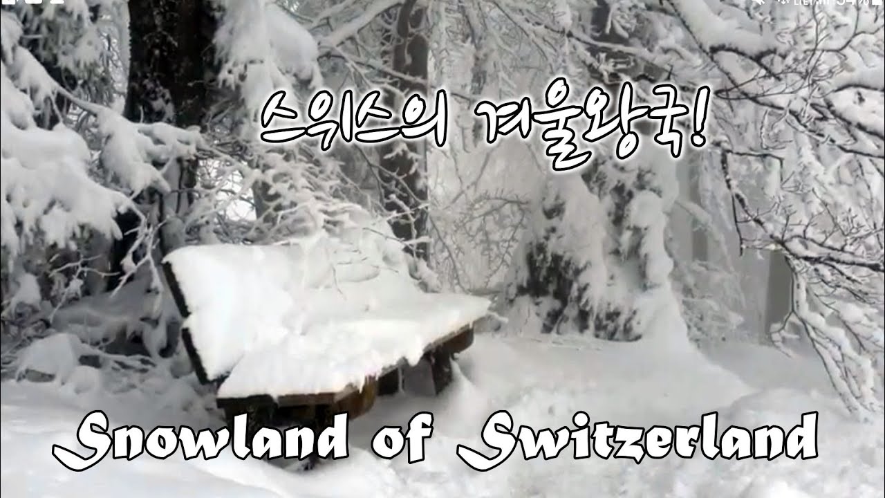 #Albishorn#스위스#swizerland,스위스의 겨울왕국, 눈으로 덮힌 하얀세상속으로 랜선여행~