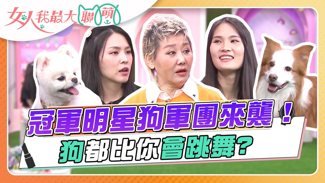 冠軍明星狗軍團來襲！狗都比你會跳舞？ 女人我最大 20230731 (完整版)｜卞慶華、徐凱希、李維維+李先蔘滿滿、熊熊+HARU、余秉諺+佳佳&樂樂、跳舞冠軍狗-珺珺+布布