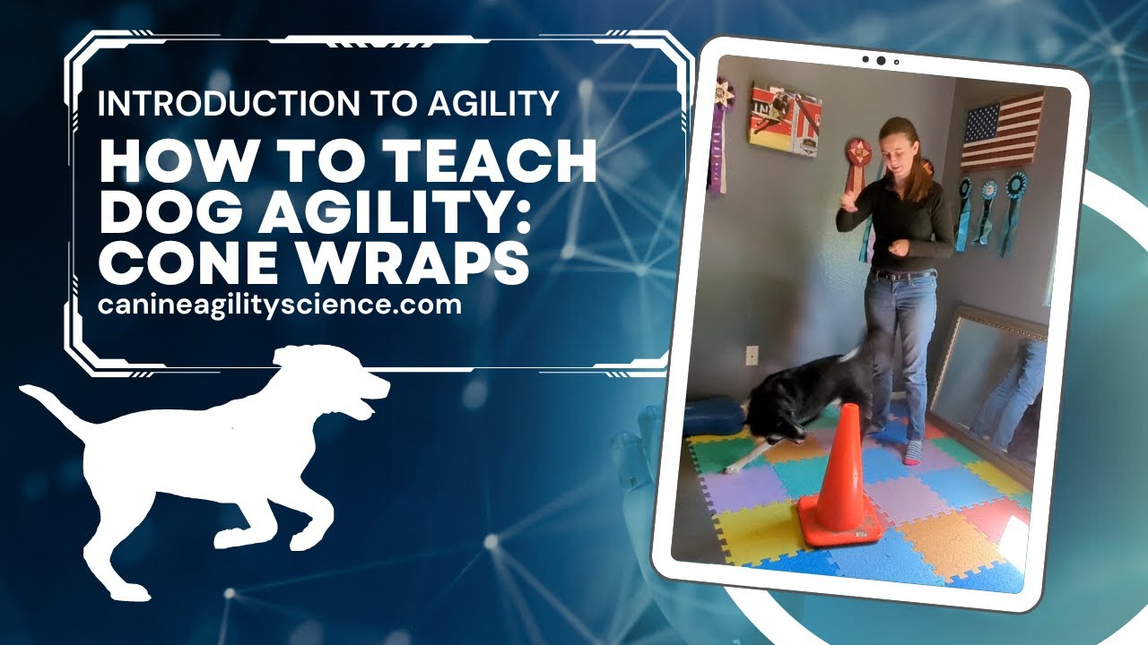 How to Teach Dog Agility: Cone Wraps!
