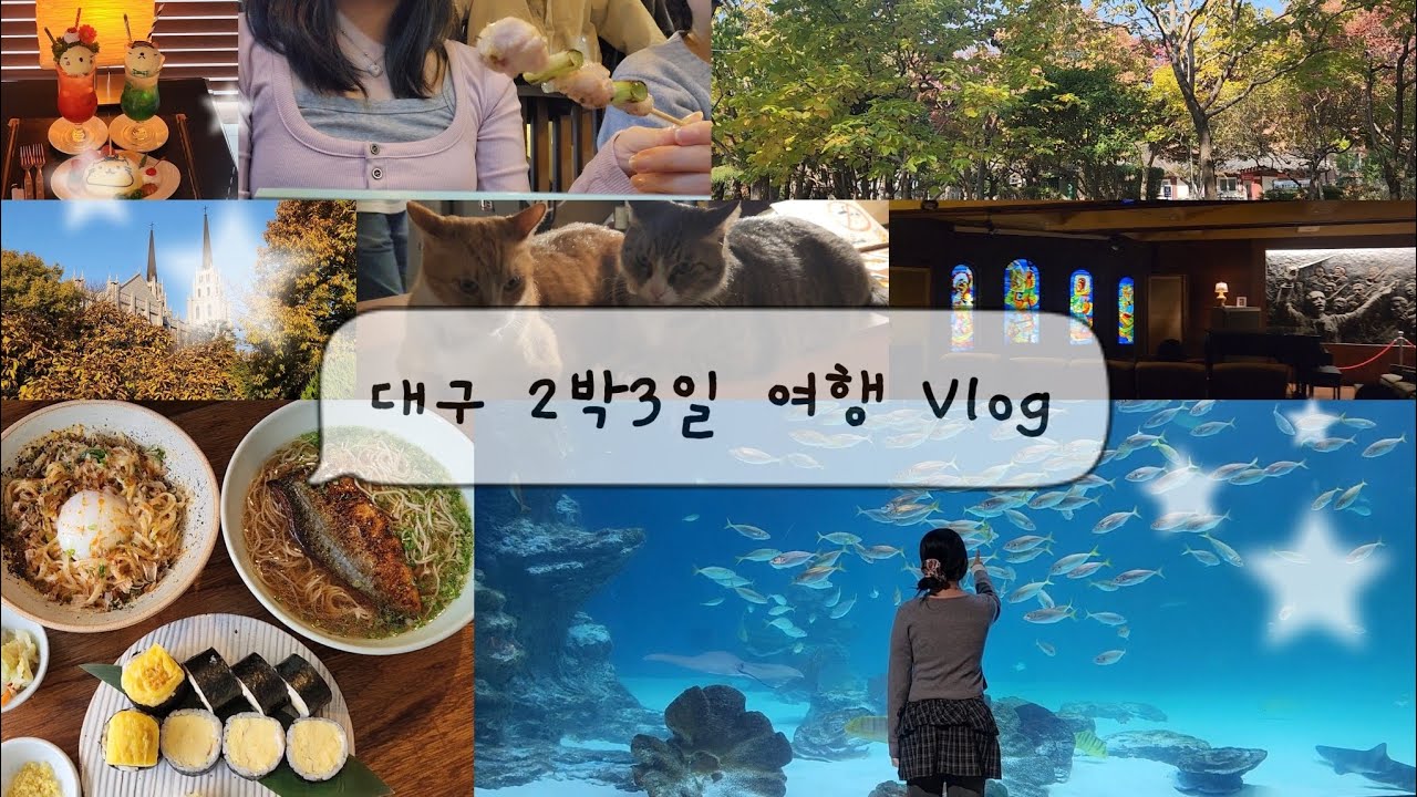 ⭐ 대구 2박3일 여행 Vlog  |  오직 식도락을 위하여 떠나자