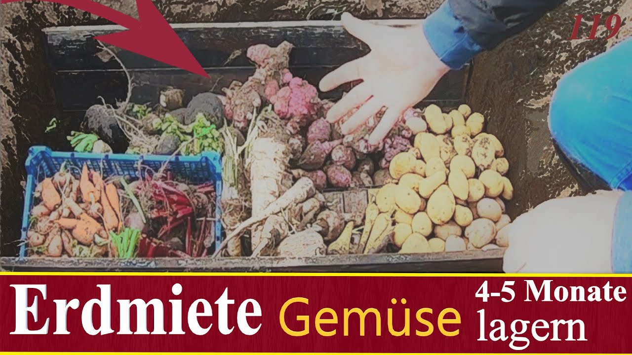 Gemüse 4 - 5 Monate lagern | Erdmiete bauen | Selbstversorger Tipp