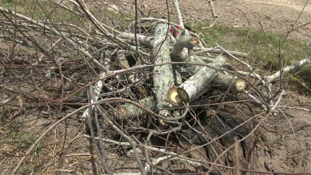 Burning a stump below ground level with time-lapse in under 2 minutes