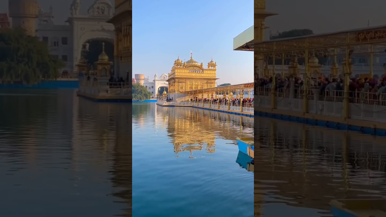 #shorts #viral#short #wmk #shortvideo #trending #live #wheguru #gurbani #goldentempleji#subscribe