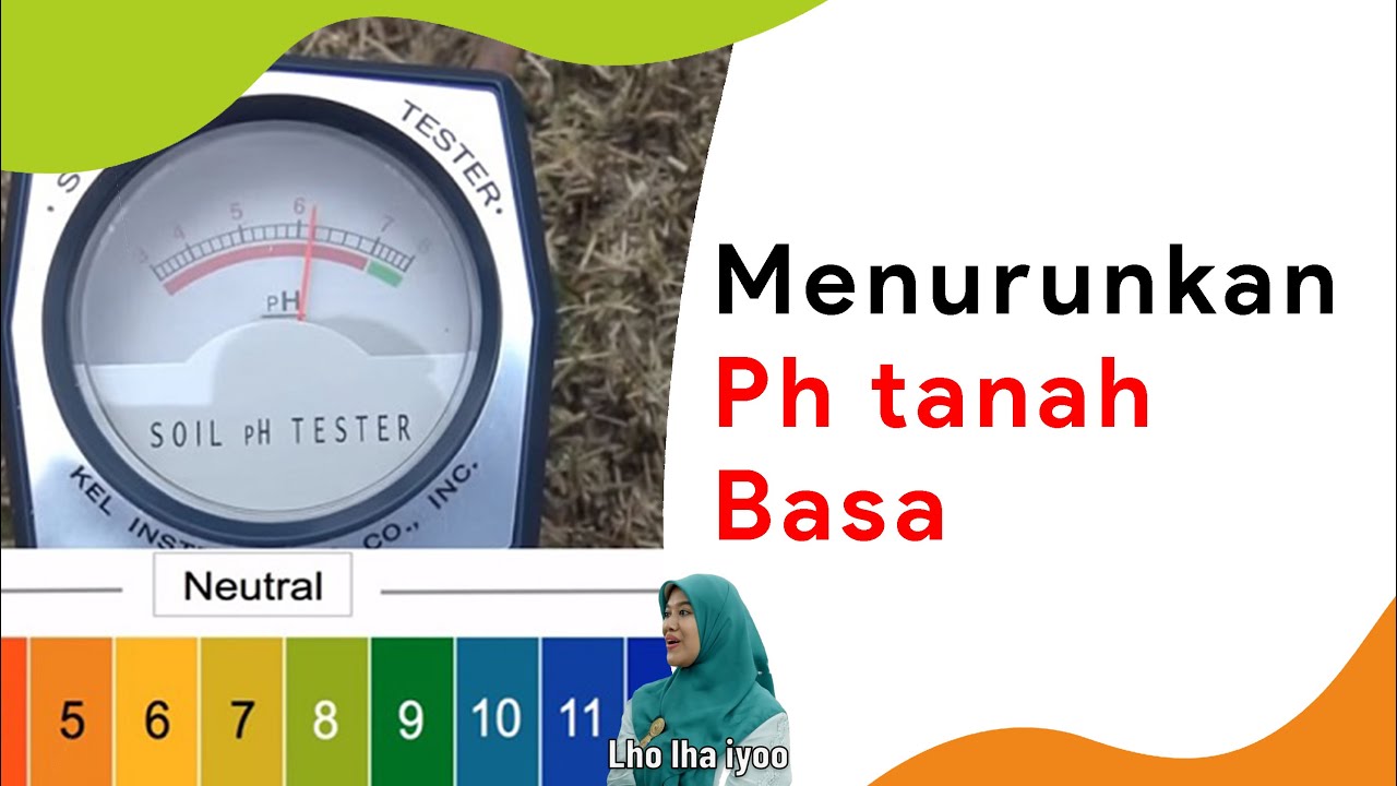 5 Cara Menurunkan pH Tanah