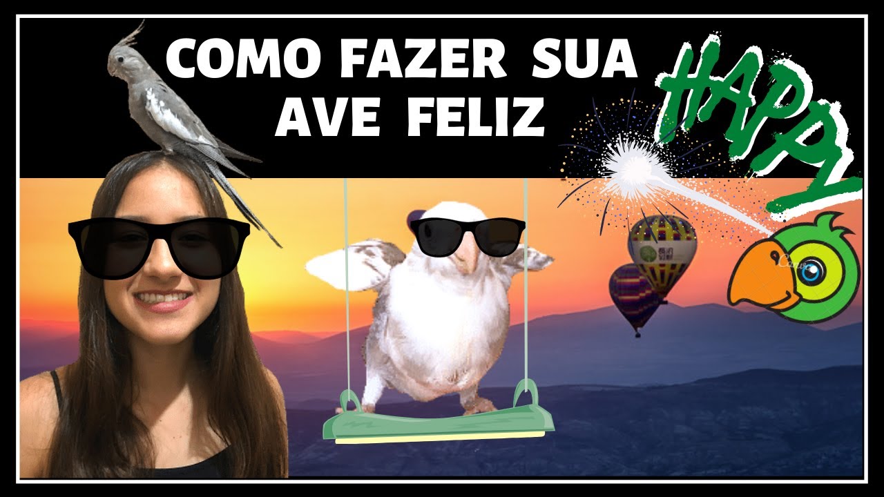 Como ter uma calopsita feliz
