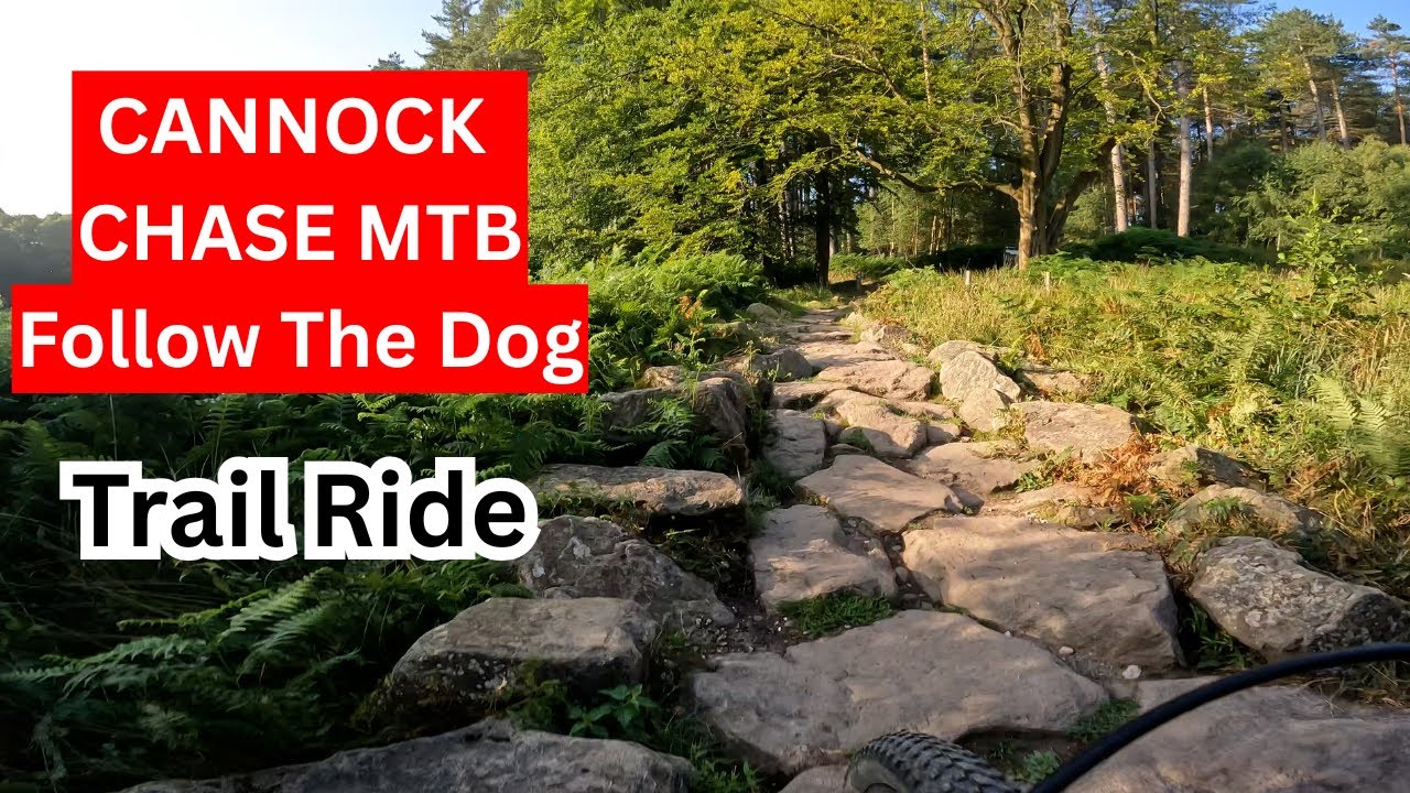 Cannock Chase MTB Follow The Dog -  Red Trail