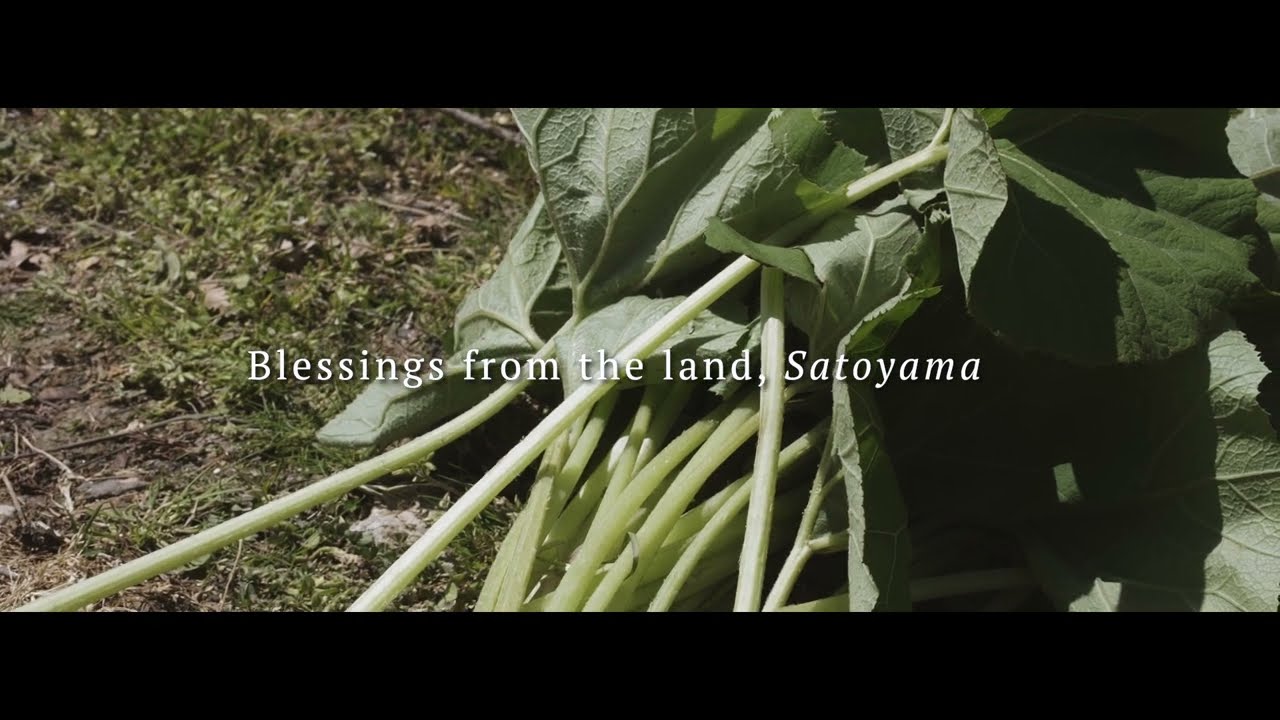 Digest &mdash; Passing Down Traditional Knowledge (Noto's Satoyama & Satoumi)