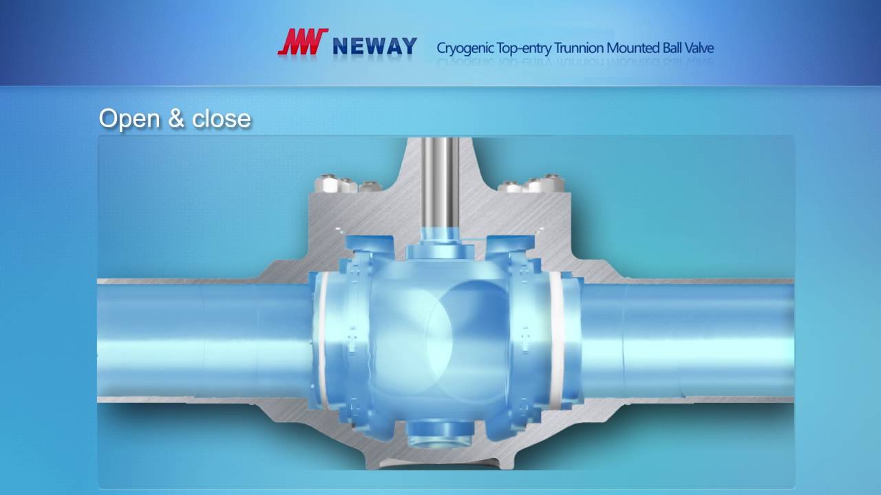 Cryogenic Top entry Trunnion Mounted Ball Valve