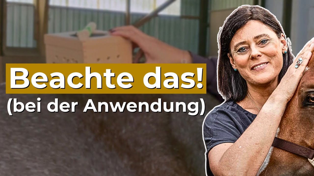 Moxa-Therapie beim Pferd! (so einfach gehts)