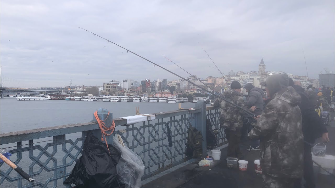 #GALATA KÖPRÜSÜNDE HANGİ BALIKLAR TUTULUYOR, KAÇ PARA, OCAK 2026 : SONUNA KADAR İZLEYİN DERİM 
