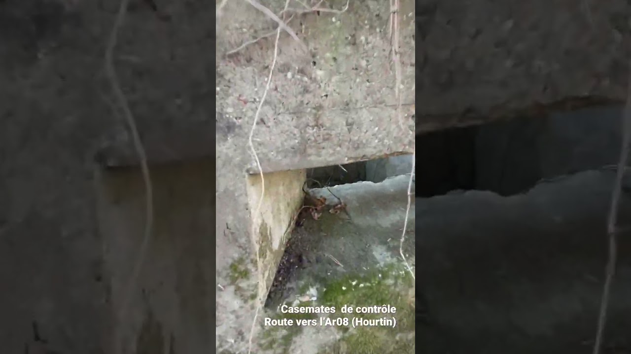 Inside Atlantikwall - AR08 - Casemates de surveillance vers l&rsquo;Ar08 (Hourtin)