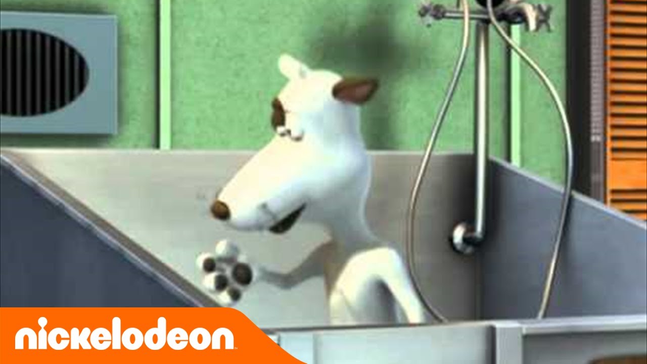 La Ferme en folie | Chez le vétérinaire | Nickelodeon France