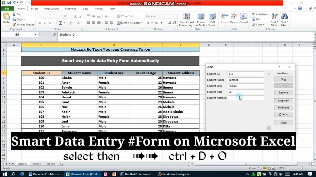 How to do Smart Data Entry Form on Microsoft Excel