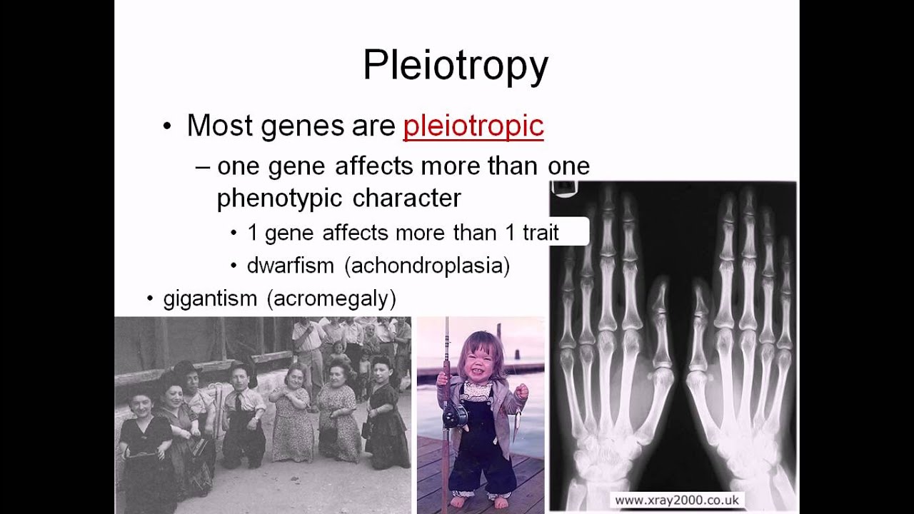 Pleiotropy