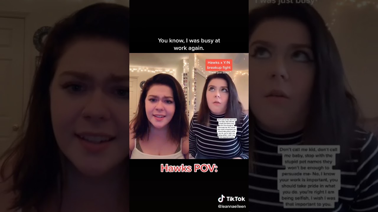 Duet Hawks x Y/N breakup song by Leannaeileen