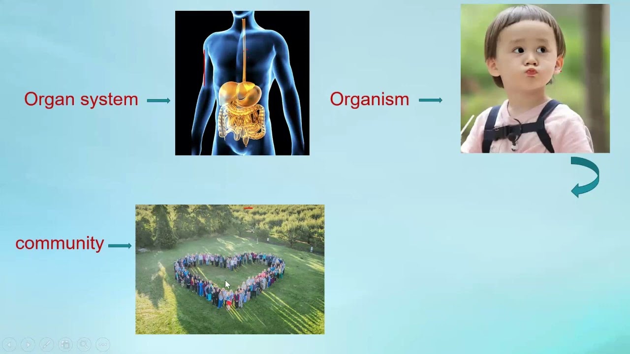 GED Life Science ( Cell Structure And Organization)