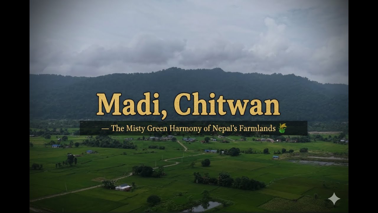 📍Madi, Chitwan — The Misty Green Harmony of Nepal’s Farmlands 🌾 | Drone 4K | DJI Air 3S
