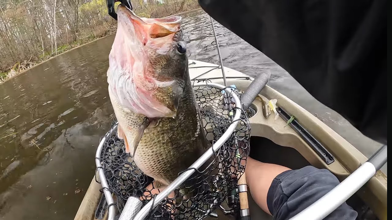 My Favorite Bass Catches in Wisconsin 2025