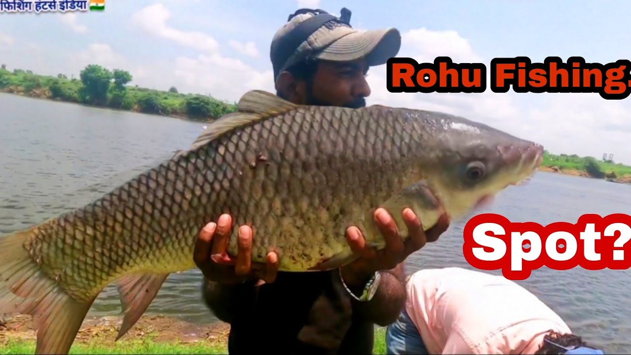 Amaizing Rohu Fishing | जबरदस्त Spot In पुणे Part 1 🐟 | |#fishing #fishingchallenge