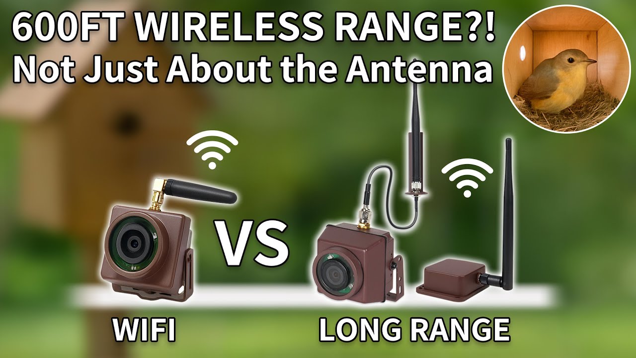 Don't Buy the Wrong Bird Box Camera! Wi Fi vs Long Range