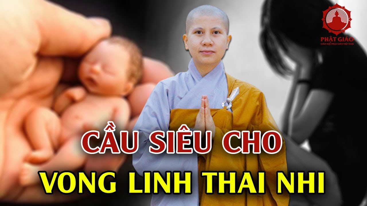 Cầu siêu cho vong linh thai nhi - SC. Giác Lệ Hiếu trả lời vấn đáp | Phật giáo Việt Nam