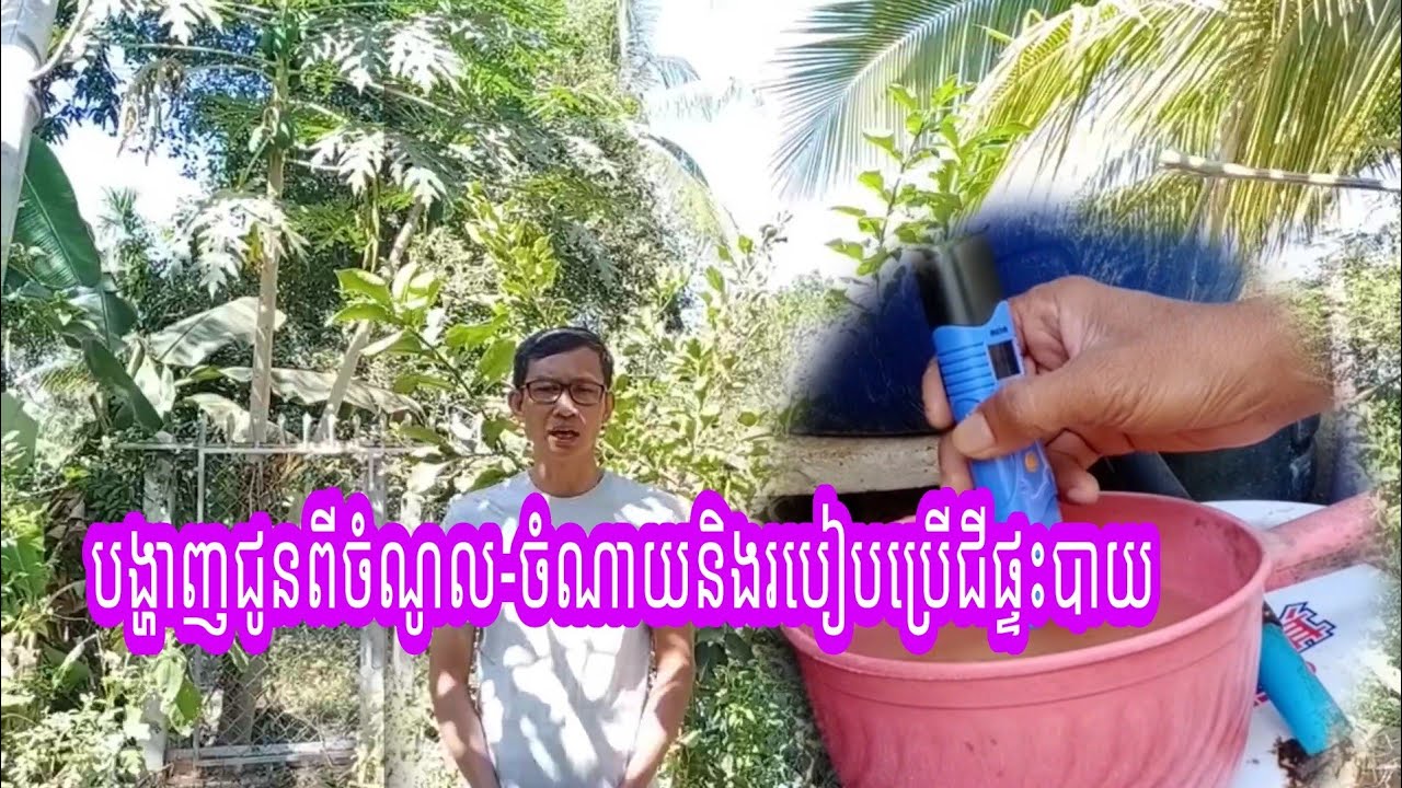 #សំខាន់ណាស់: បង្ហាញជូនពីការចំណាយ-ចំណូលនិងរបៀបប្រើជីផ្ទះបាយ