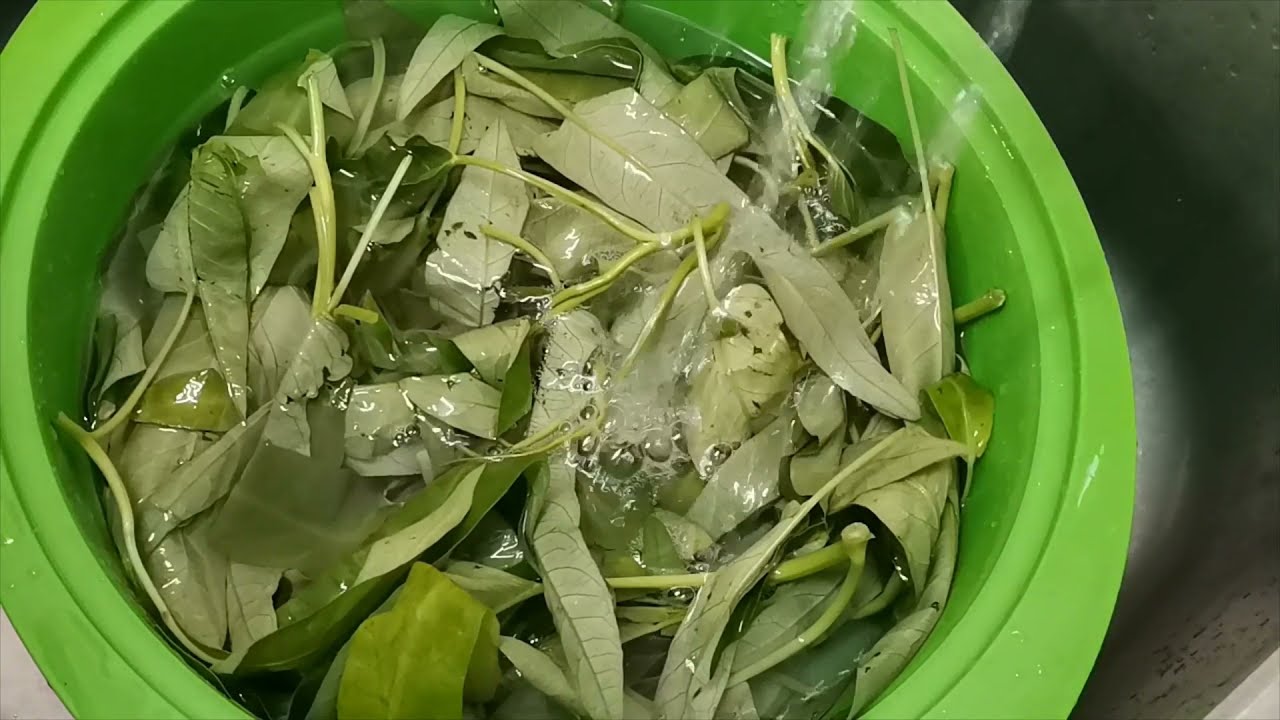 How to washed your Organic Kangkong #Short #Greenleafy