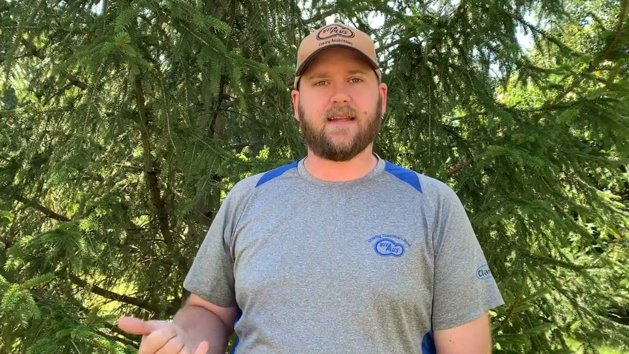 Vita Plus Starting Strong: Calf Chat with Lucas - Calf jackets