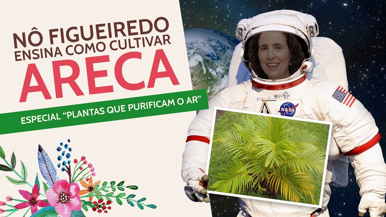 Nô Figueiredo Ensina Como Cultivar Areca
