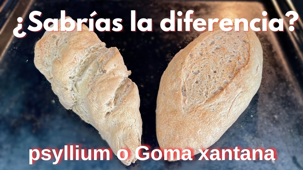 Pan Sin gluten  😱¿Se puede sustituir la goma xantana por psyllium?