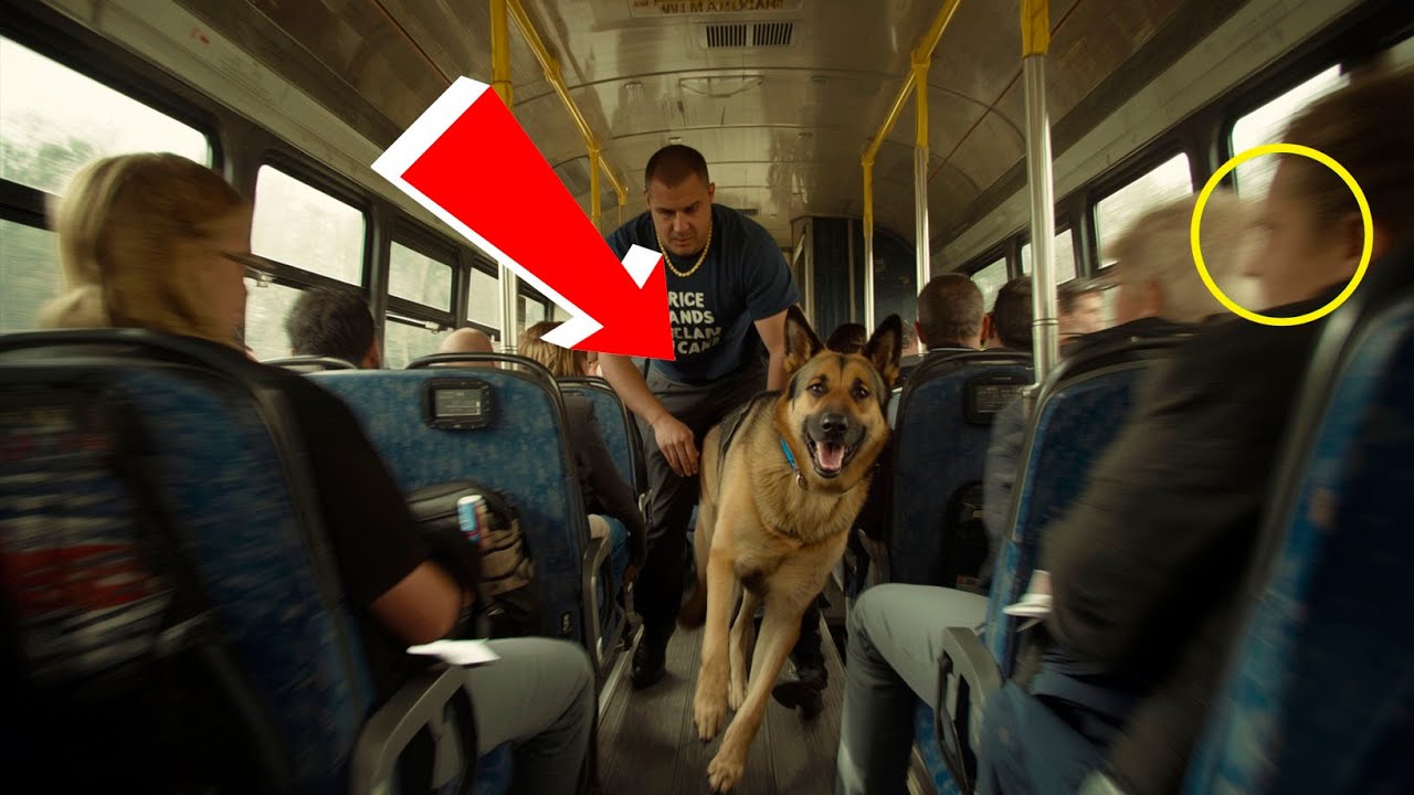 Sie verspotteten den Mann und seinen Deutschen Schäferhund im Bus – ohne zu wissen, dass er ein O...