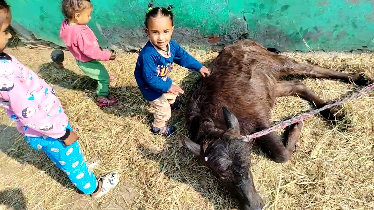 Happy happy  children's#video 