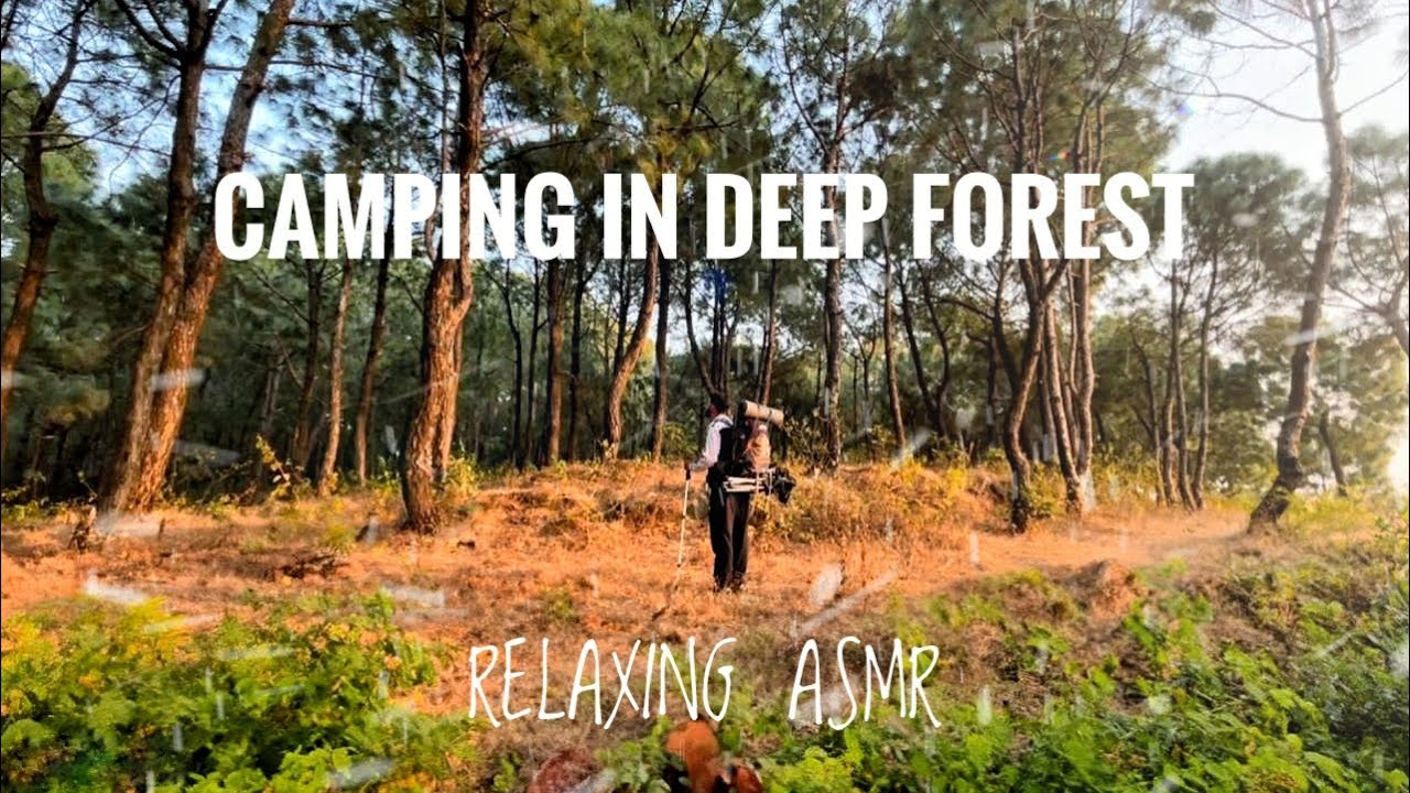 SOLO CAMPING IN DEEP FOREST | SILENT VLOG ASMR | OVERNIGHT CAMPING IN JUNGLE | NATURE ASMR
