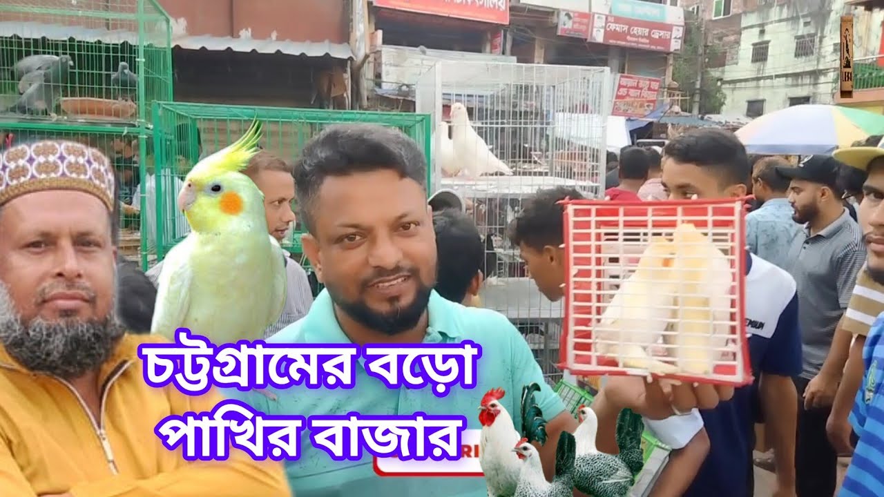 দেওয়ান হাট পাখির বাজার চট্টগ্রাম। Birds Hill