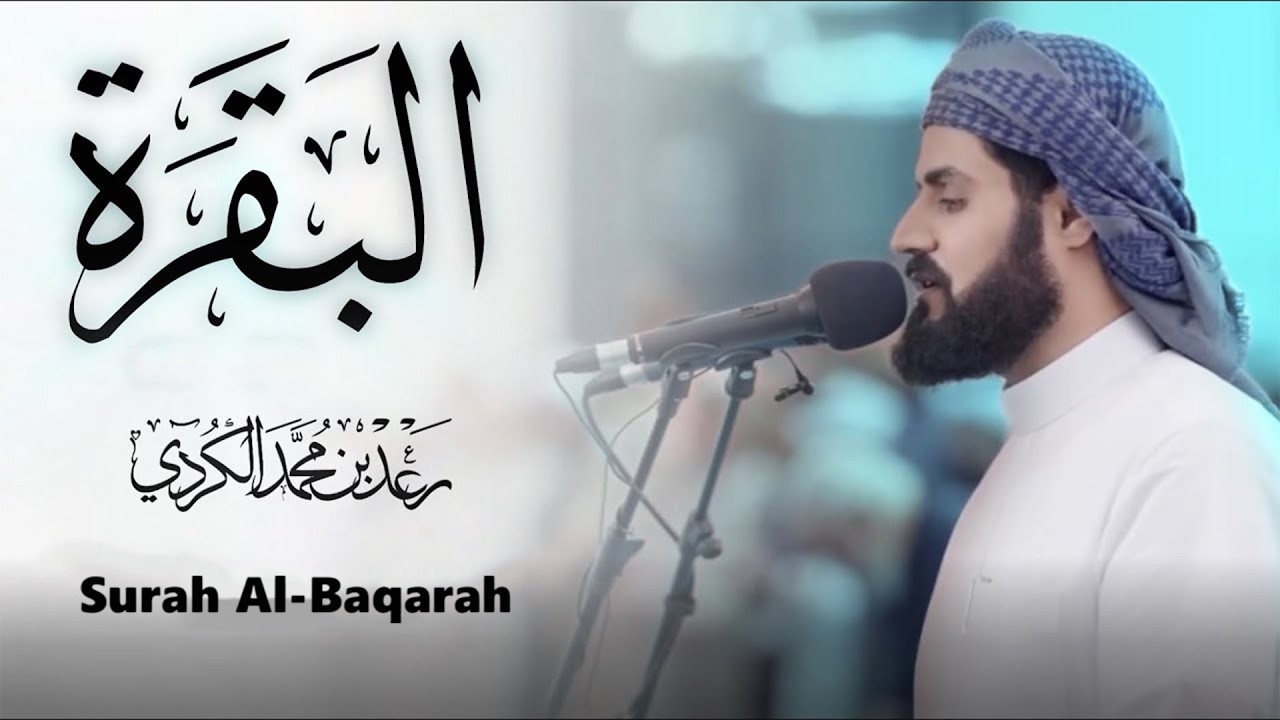 سورة البقرة || اروع تلاوة القارئ رعد محمد الكردي || لطرد الشياطين | تُبطل العين والحسد والسحر