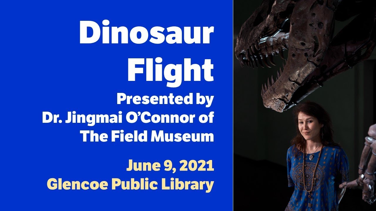 Dinosaur Flight