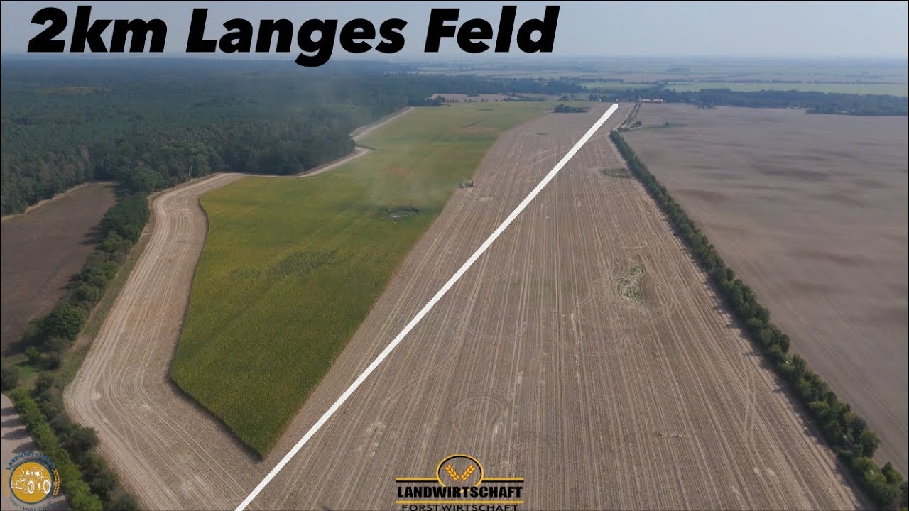 Das 2KM Lange Feld! Schaffen wir diese Fläche heute noch? Maisernte John Deere 9900i Maishäckseln