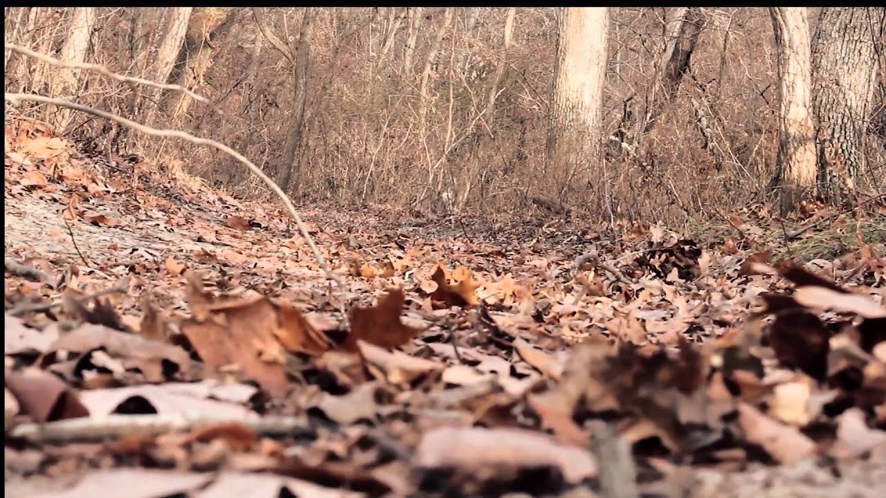 Mouth of the South - Simply Grace Instrumental