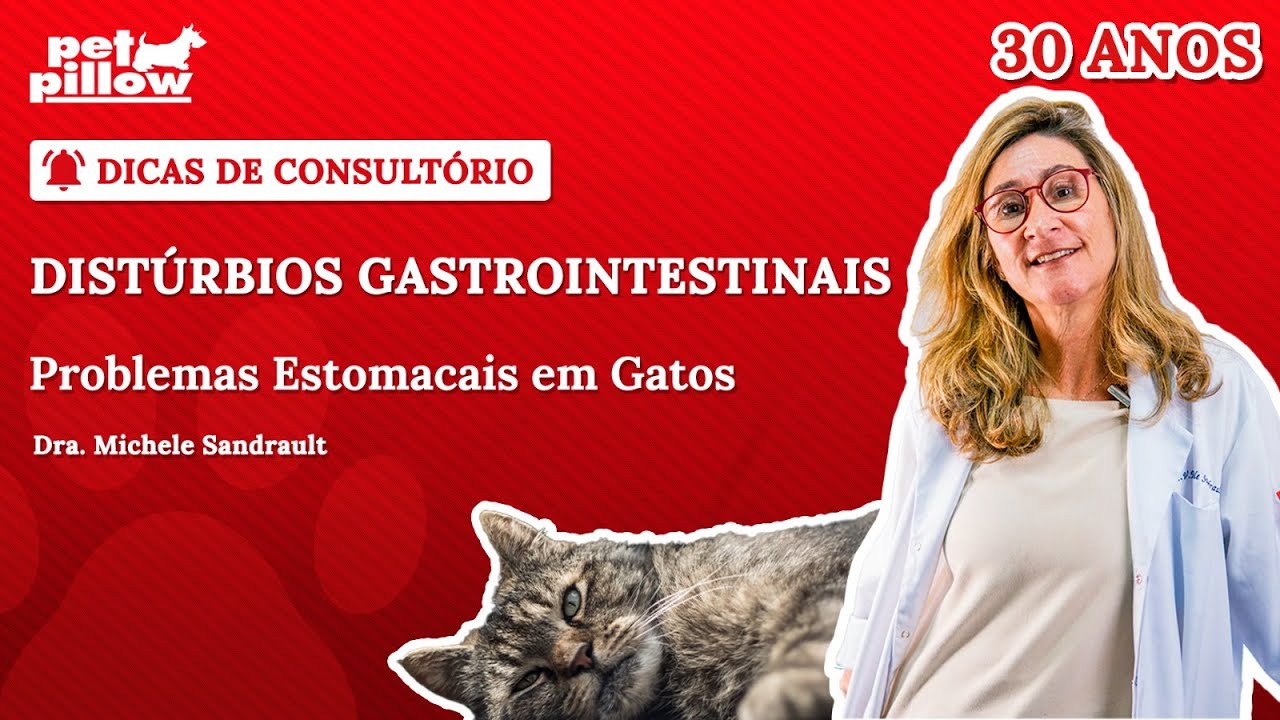 Quais as doenças gastrointestinais mais comuns em gatos? | Dra. Michele Sandrault & Dra. Isabela
